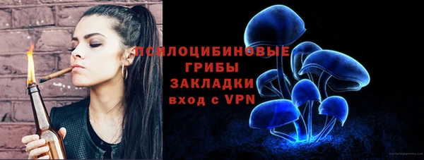 стафф Майский