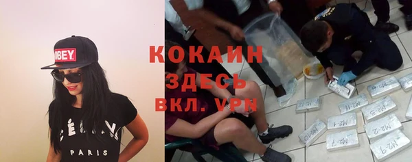 стафф Майский