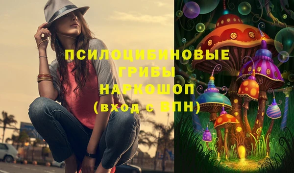 стафф Майский
