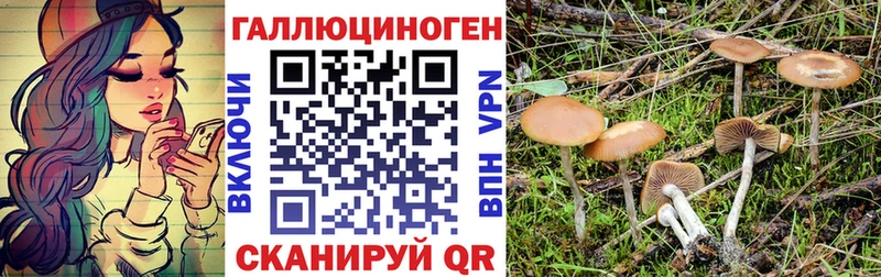 Псилоцибиновые грибы ЛСД сколько стоит Алатырь